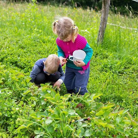 Willa Domacija Vesel Trebnje Zewnętrze zdjęcie