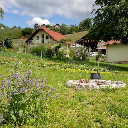 Willa Domacija Vesel Trebnje Zewnętrze zdjęcie